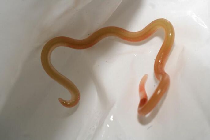 Helminths